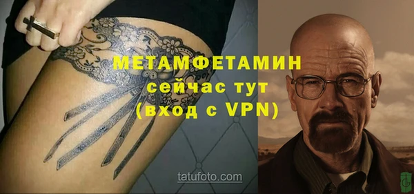 гидра Богородск