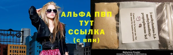 гидра Богородск