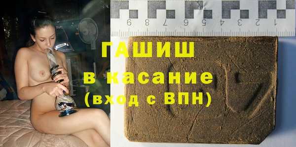 гидра Богородск