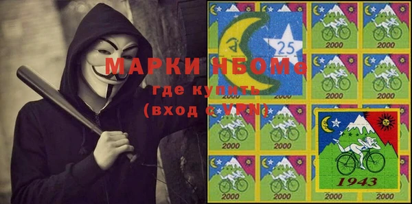 гидра Богородск
