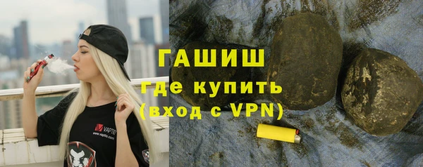 гидра Богородск